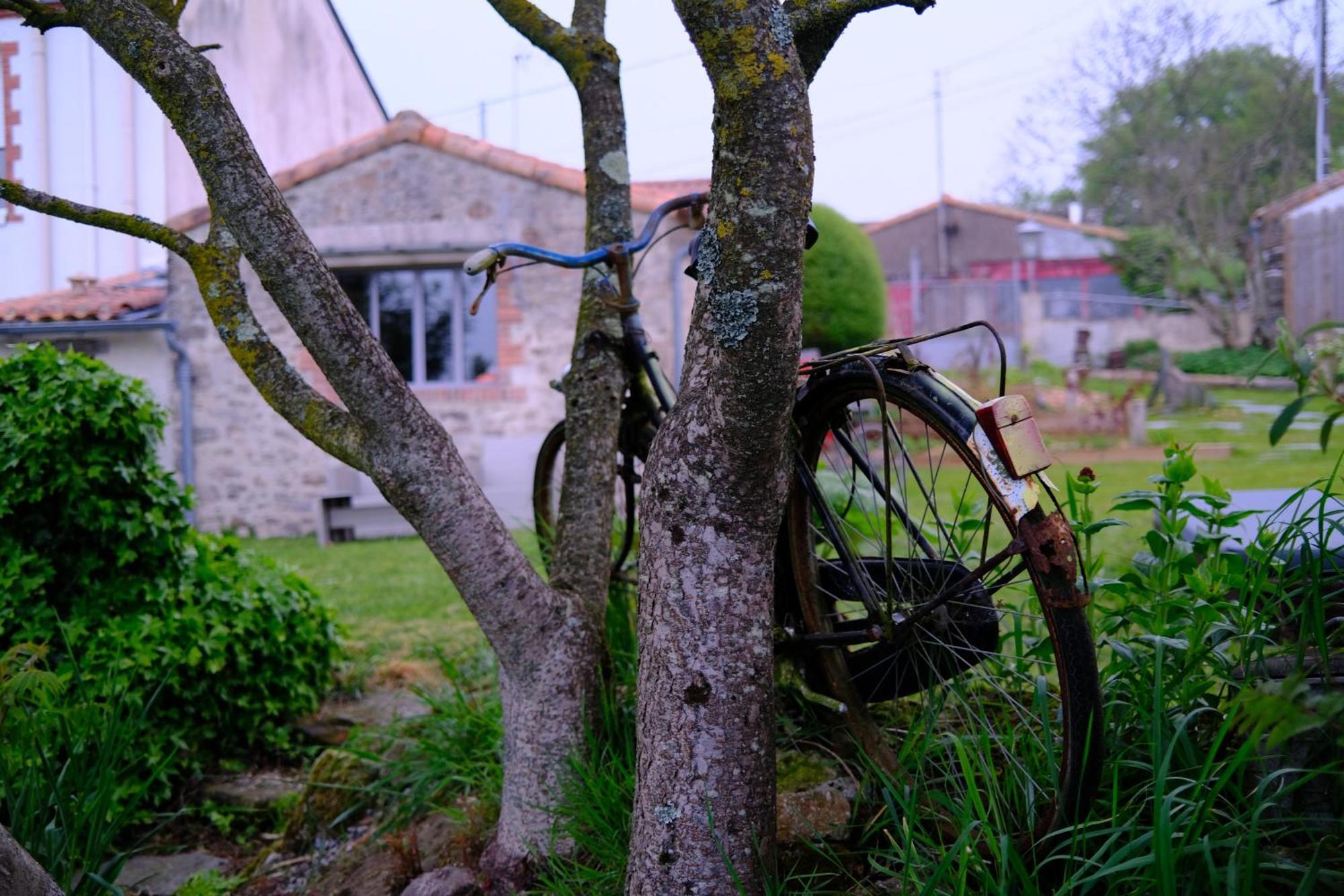 Les Chambres De La Forge Des Collines Les Herbiers Eksteriør billede